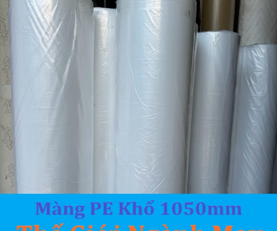Màng Trải Pe máy cắt vải tự động